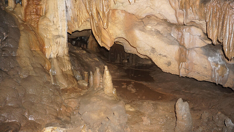 Parque Estatal de las Cavernas de Florida