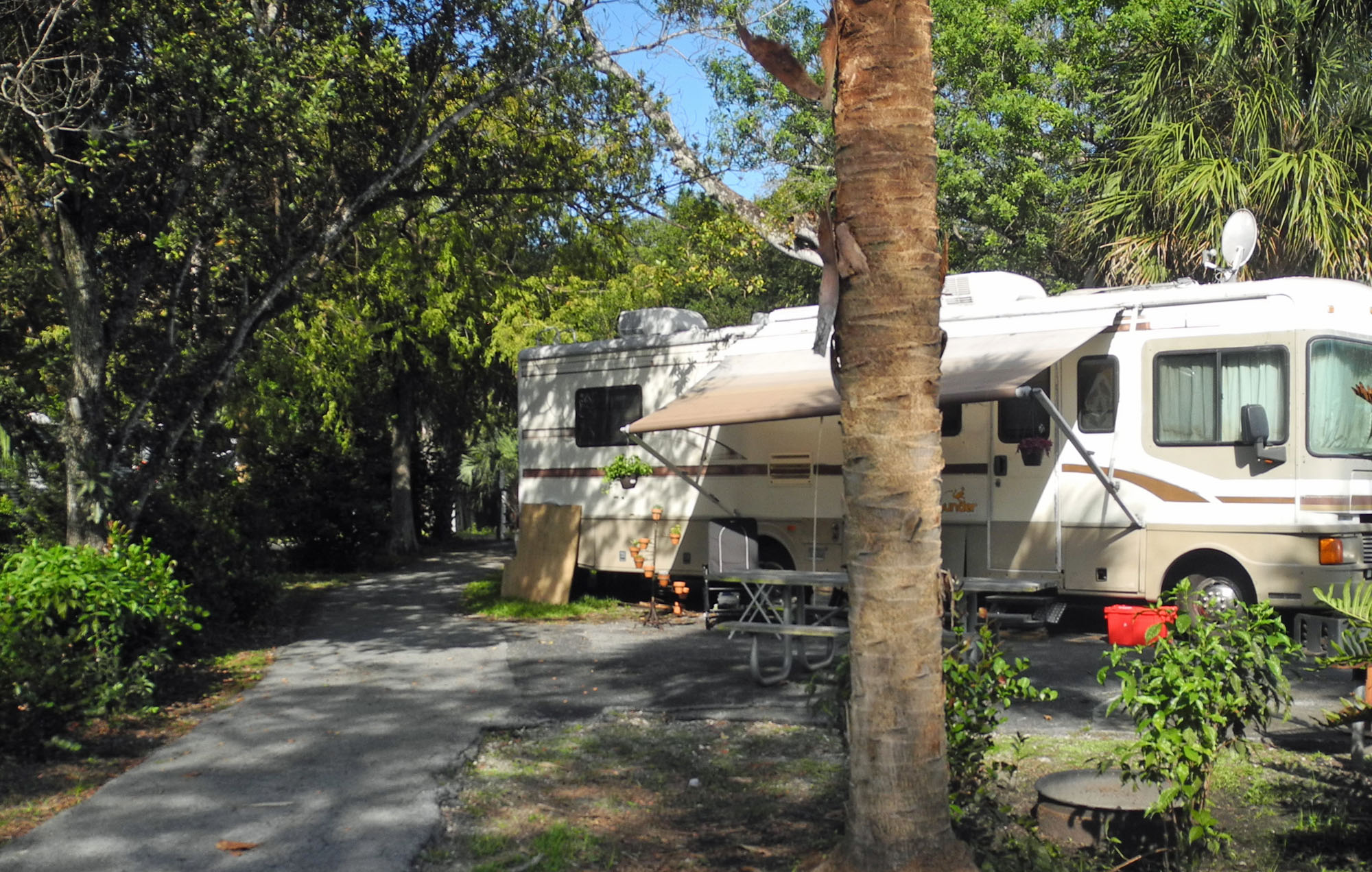 El mejor camping en los parques públicos del sur de Florida