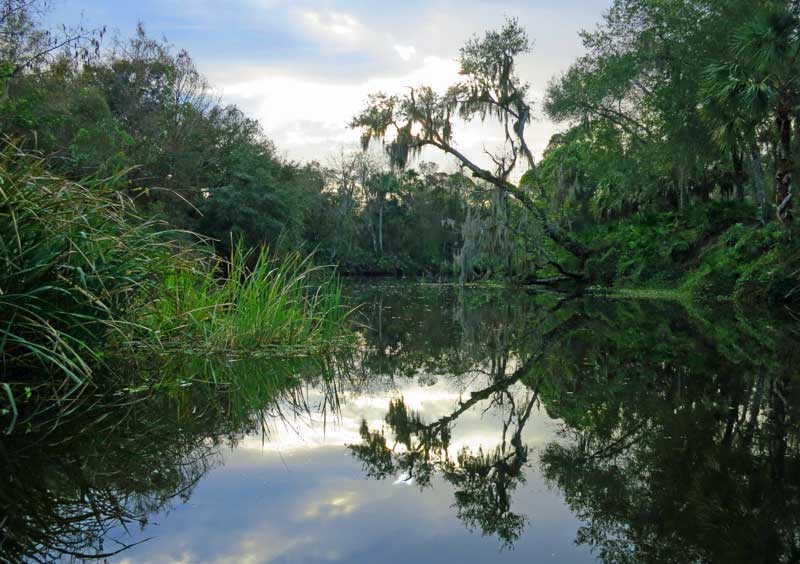 3 rutas de kayak en el suroeste de Florida que no son famosas, pero deberían serlo