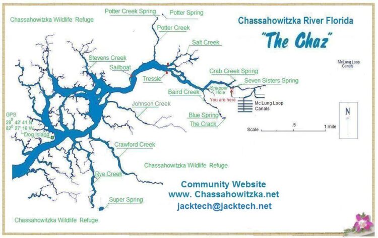 El Chaz: Manantiales y vida silvestre hacen de este río un sendero especial para kayak