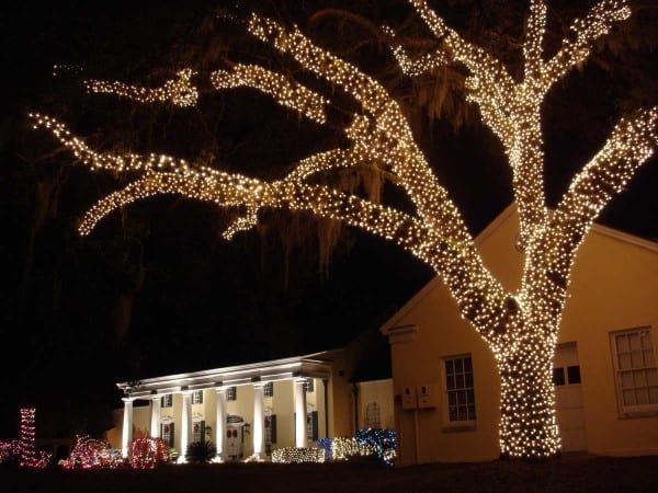 Dónde celebrar las fiestas en la vieja Florida: las mejores exhibiciones de luces navideñas