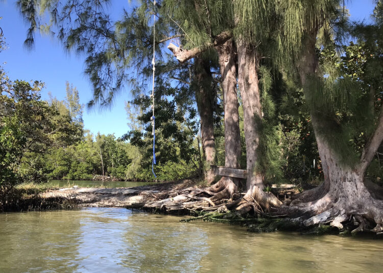 Kayak en la laguna Indian River: de isla en isla para hacer picnics e incluso acampar