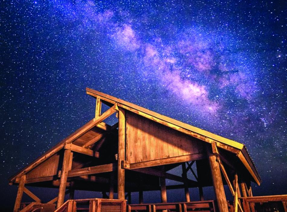 12 campings paradisíacos para observar las estrellas en Florida