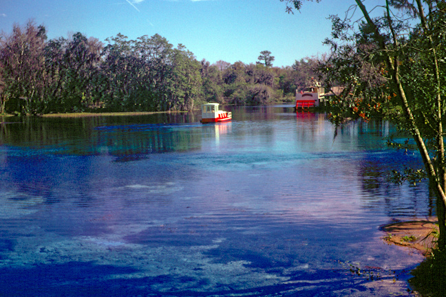 Persiguiendo arcoíris: protección de manantiales de Florida