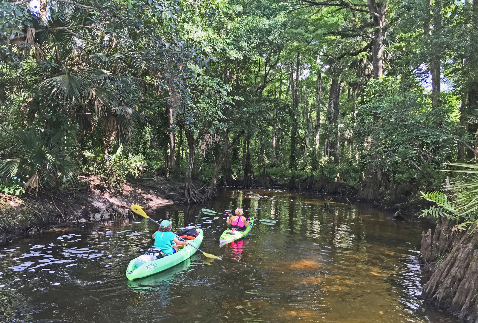 Río Loxahatchee: kayak en un río salvaje y pintoresco en el sur de Florida