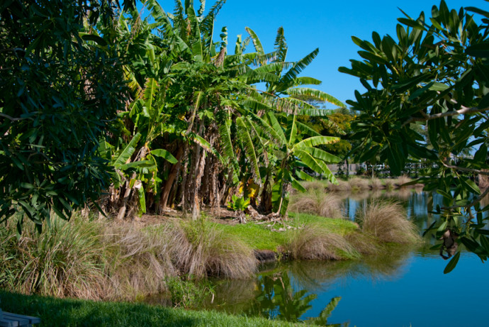 Parque Botánico Palma Sola