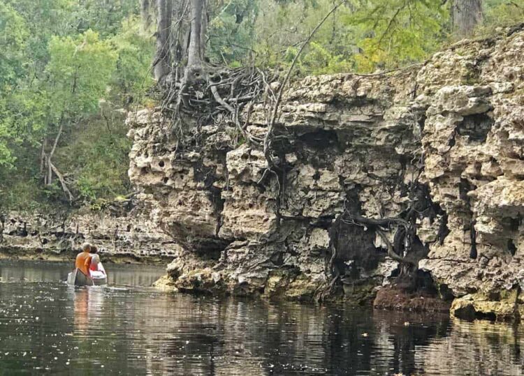 Suwannee, uno de los ríos más bellos de Florida, ofrece una plataforma cómoda y protegida para acampar