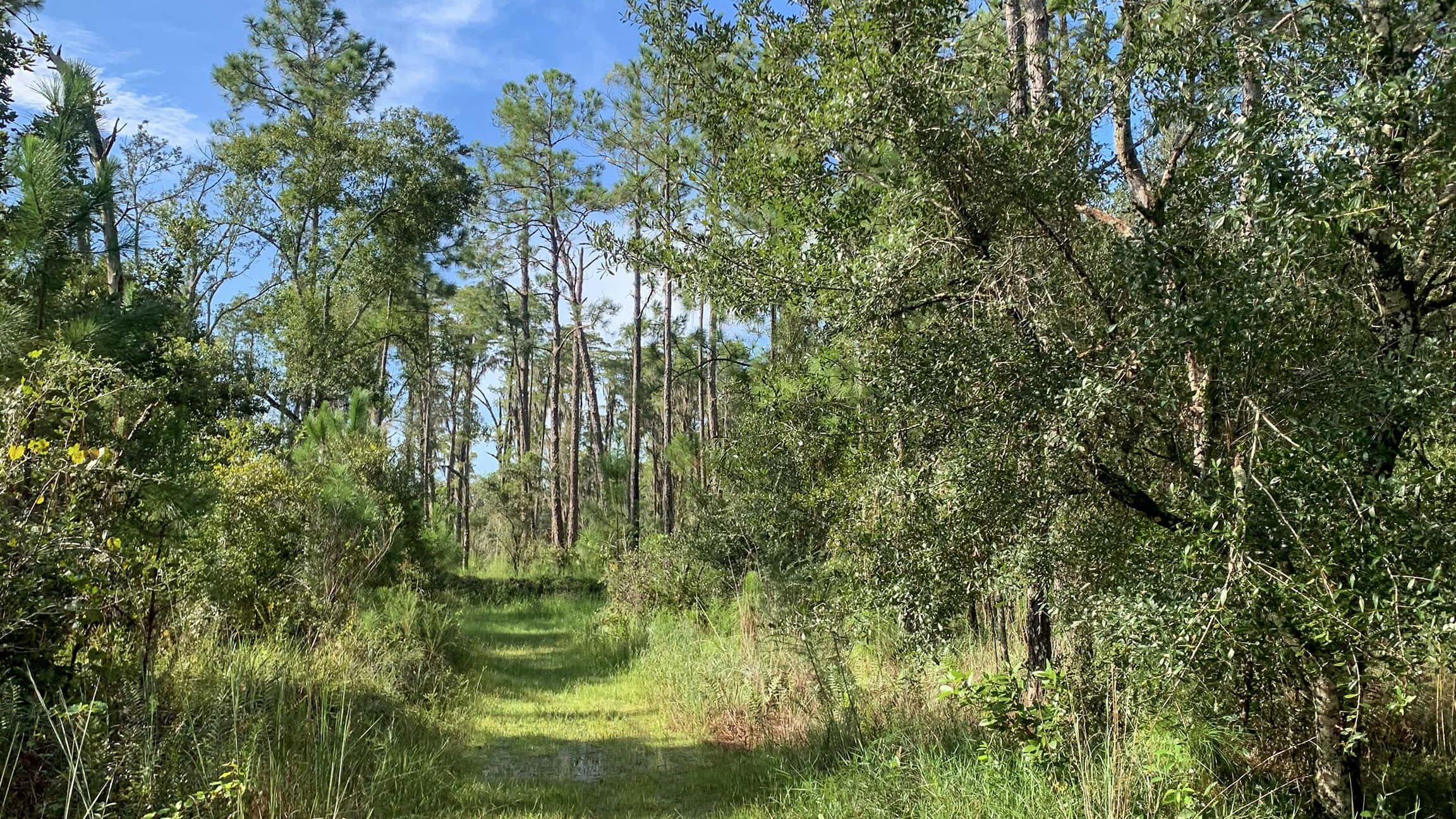 Parque de conservación de la Bahía Superior de Tampa