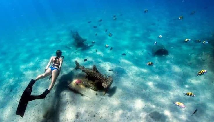 El sendero para hacer snorkel en Phil Foster Park está lleno de vida marina fácil de detectar El sendero para hacer snorkel en Phil Foster Park está lleno de vida marina fácil de detectar