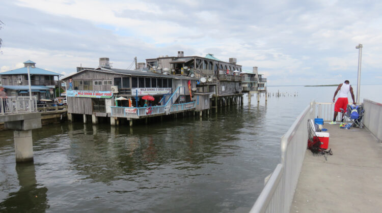 Destinos fuera de lo común: Nueve ciudades antiguas de Florida son puntos de partida ideales Destinos fuera de lo común: Nueve ciudades antiguas de Florida son puntos de partida ideales