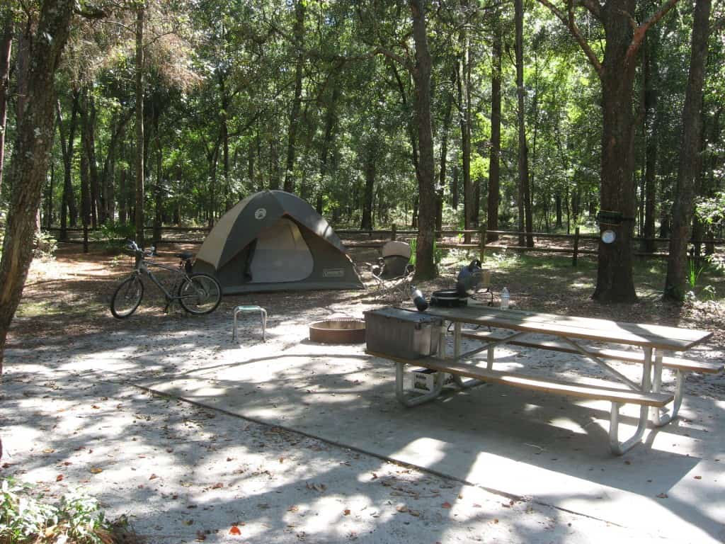 Kelly Park en Rock Springs: hermoso parque, natación fresca, campamento con sombra Kelly Park en Rock Springs: hermoso parque, natación fresca, campamento con sombra