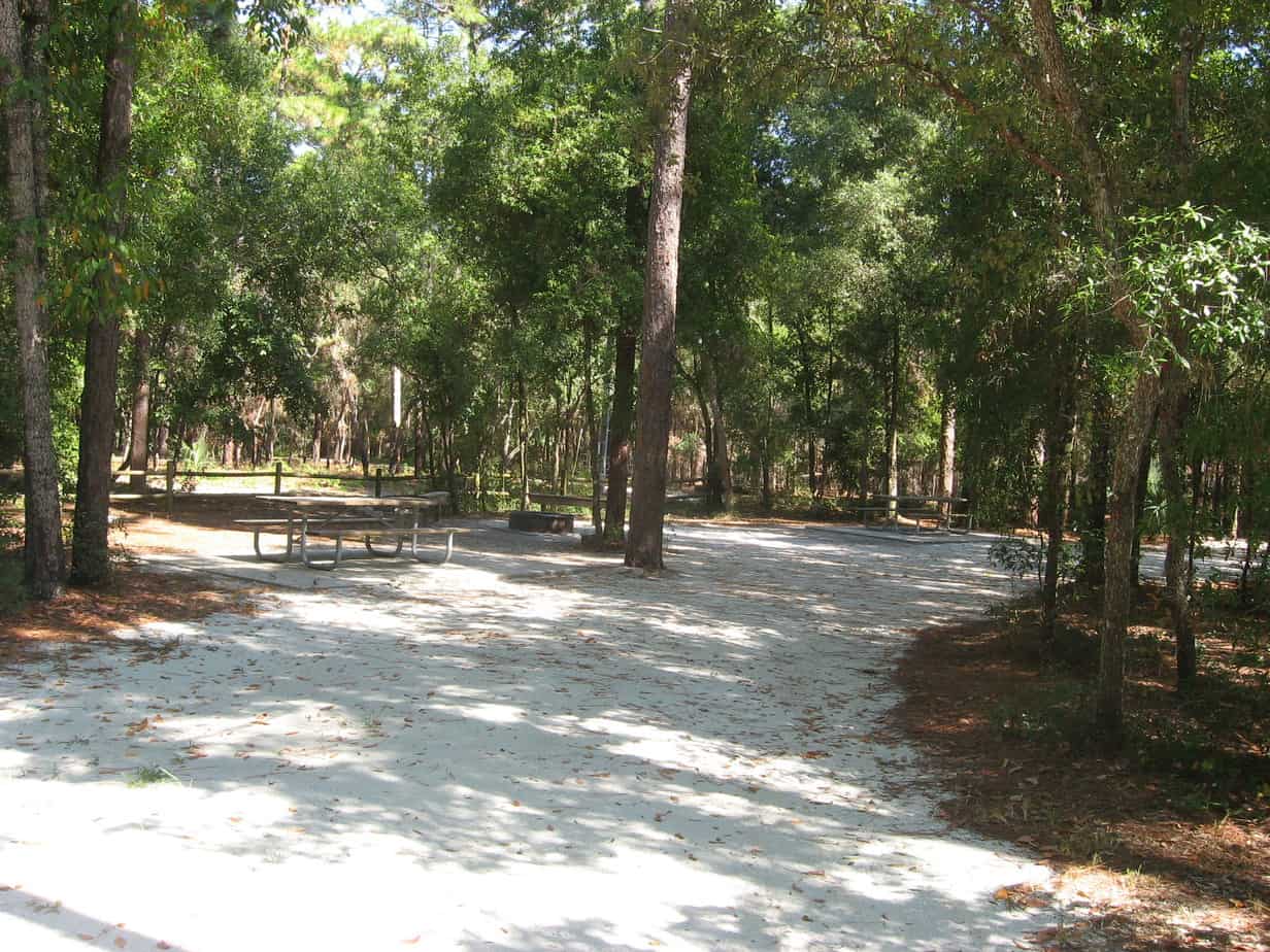 Kelly Park en Rock Springs: hermoso parque, natación fresca, campamento con sombra Kelly Park en Rock Springs: hermoso parque, natación fresca, campamento con sombra