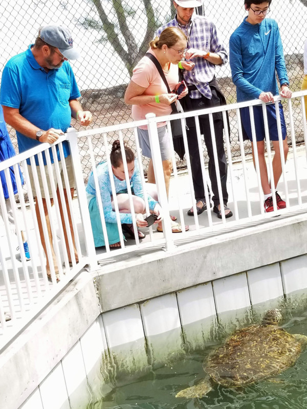 Cosas que hacer en Marathon: el corazón marítimo de los Cayos de Florida Cosas que hacer en Marathon: el corazón marítimo de los Cayos de Florida