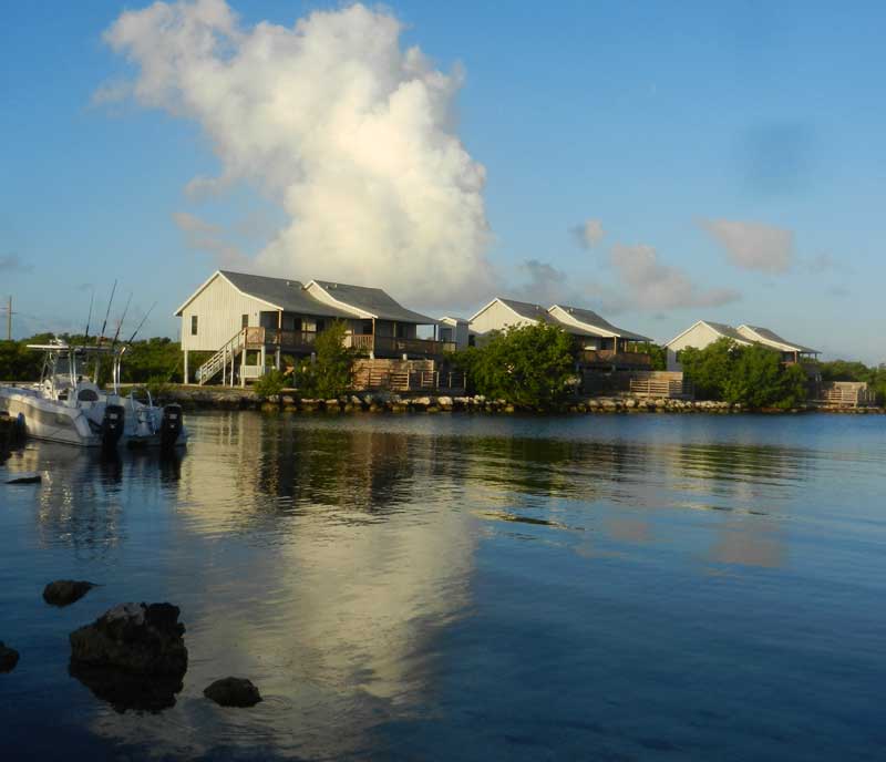 El Parque Estatal Bahía Honda lo tiene todo: los mejores campamentos y cabañas, así como excelente snorkeling El Parque Estatal Bahía Honda lo tiene todo: los mejores campamentos y cabañas, así como excelente snorkeling