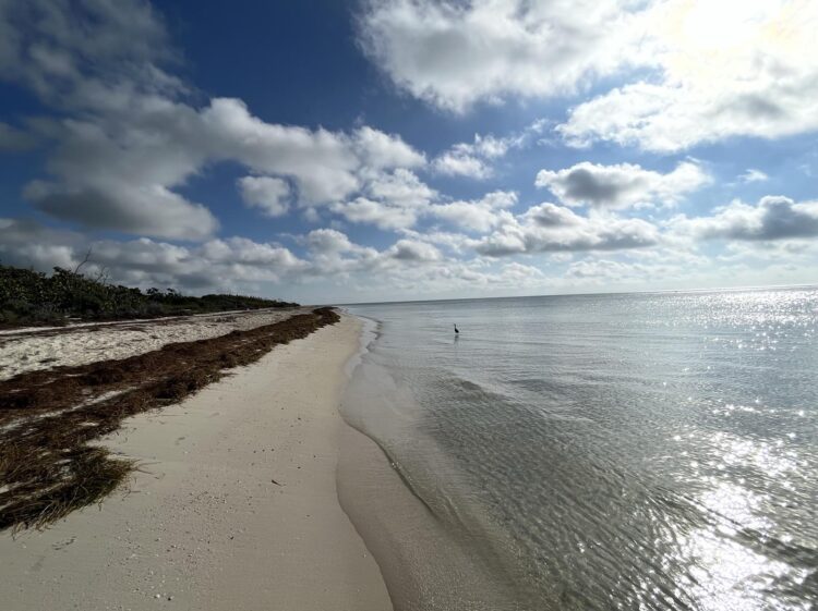 El Parque Estatal Bahía Honda lo tiene todo: los mejores campamentos y cabañas, así como excelente snorkeling El Parque Estatal Bahía Honda lo tiene todo: los mejores campamentos y cabañas, así como excelente snorkeling