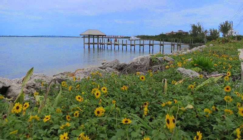 Más de 12 recorridos panorámicos: belleza en las carreteras secundarias de Florida Más de 12 recorridos panorámicos: belleza en las carreteras secundarias de Florida
