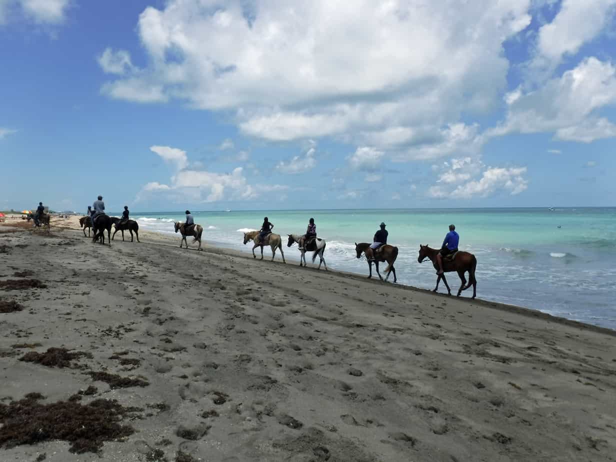 Más de 12 recorridos panorámicos: belleza en las carreteras secundarias de Florida Más de 12 recorridos panorámicos: belleza en las carreteras secundarias de Florida