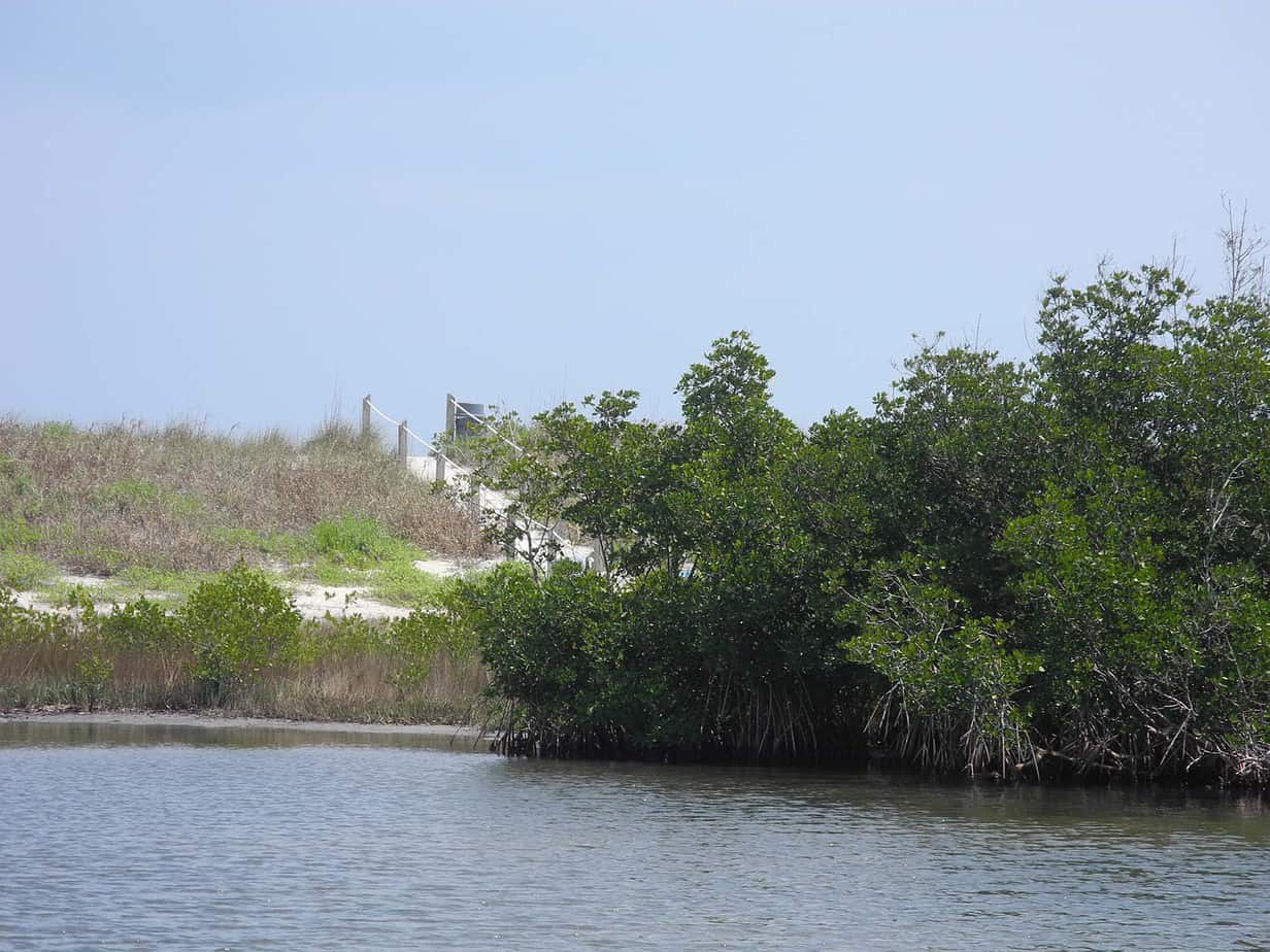 Descalzo en la isla Hutchinson: algunas de las mejores playas de Florida
