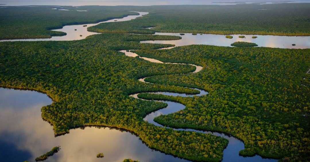 Atracciones naturales en Florida