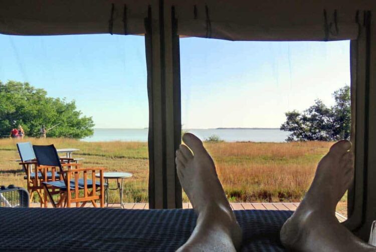 Tiendas de campaña ecológicas en Flamingo: glamping en el Parque Nacional Everglades Tiendas de campaña ecológicas en Flamingo: glamping en el Parque Nacional Everglades