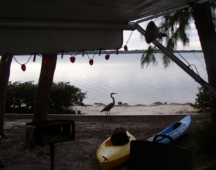 El mejor camping cerca de la bahía de Tampa: 9 campings destacados