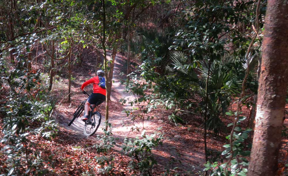 El mejor camping cerca de la bahía de Tampa: 9 campings destacados