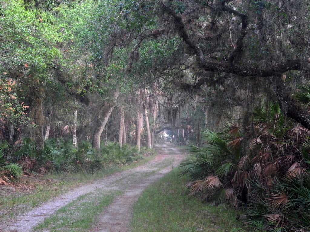 El mejor camping cerca de la bahía de Tampa: 9 campings destacados