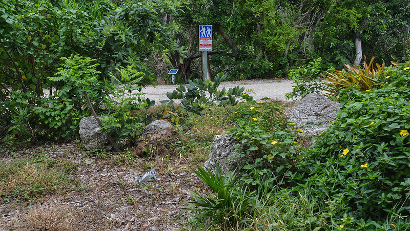 Reserva Natural Hamaca Tortuga Verde