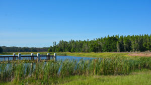 Acampar en Florida