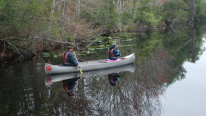 Acampar en Florida
