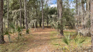 Acampar en Florida