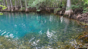 Acampar en Florida