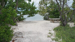 Acampar en Florida