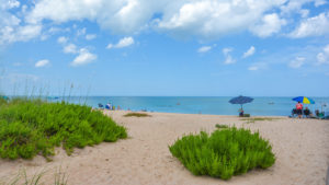Acampar en Florida