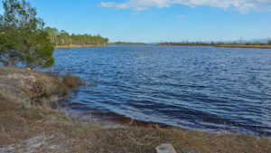 Acampar en Florida