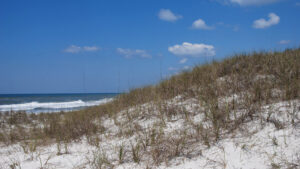 Acampar en Florida