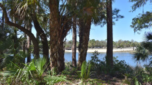 Acampar en Florida