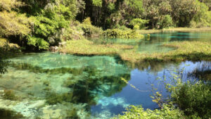 Acampar en Florida