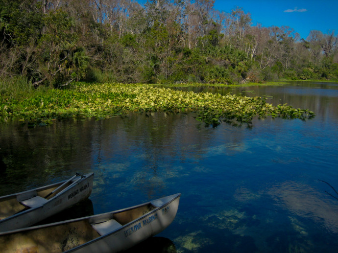 Acampar en Florida