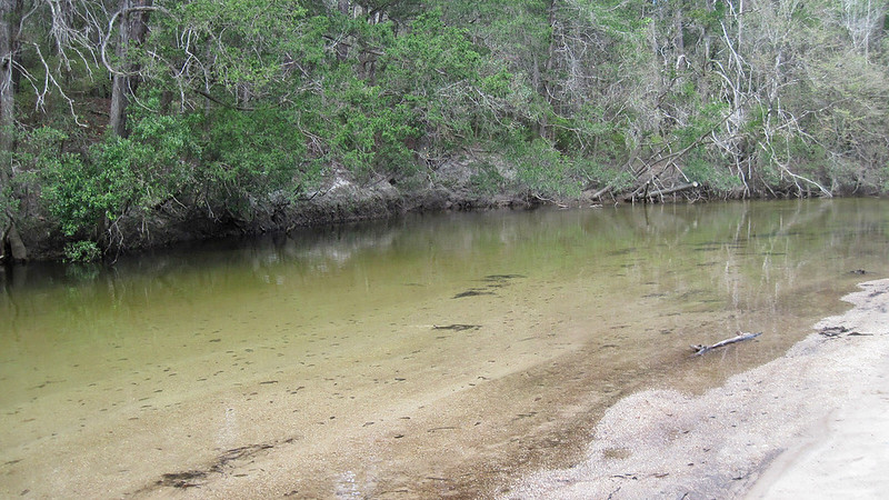 Bosque estatal del río Blackwater