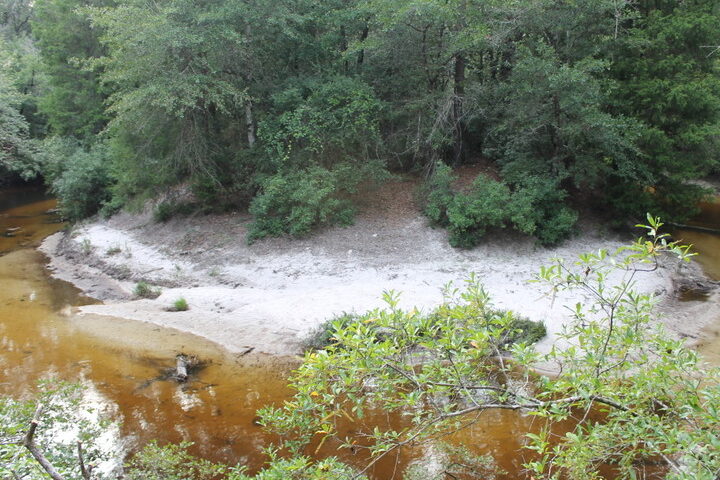 Bosque estatal del río Blackwater
