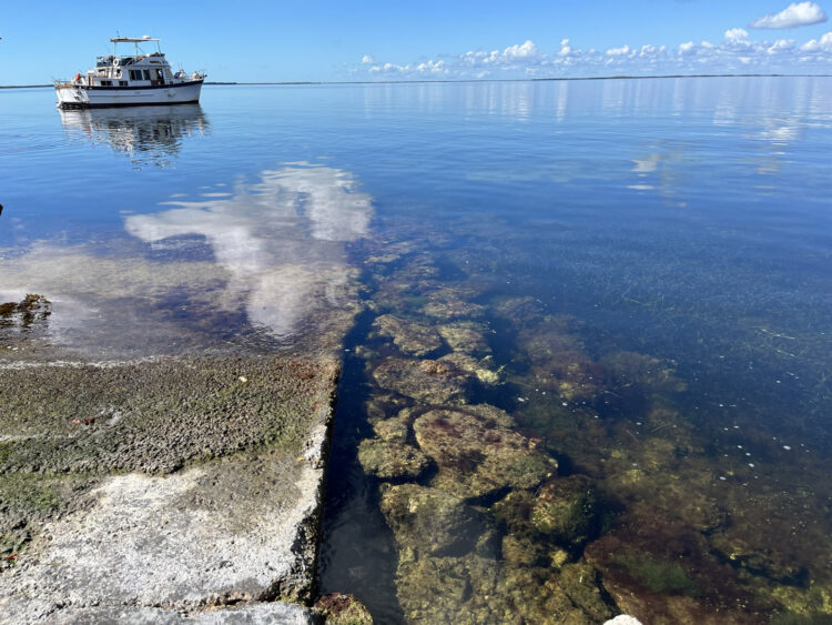Dos nuevos parques en los Cayos de Florida están mejorando los lugares locales para nadar y agregando servicios recreativos