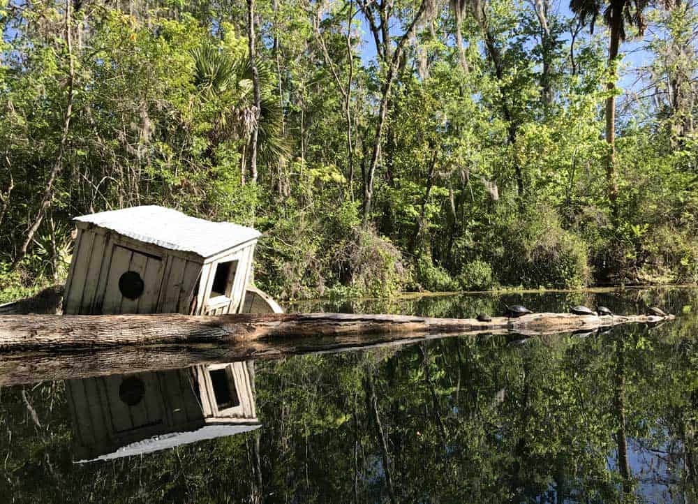 Silver Springs State Park: manantial famoso, cabañas, caminatas e historia