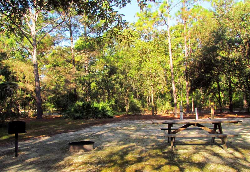 Silver Springs State Park: manantial famoso, cabañas, caminatas e historia