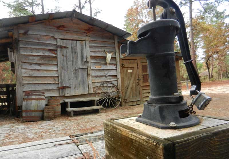 Silver Springs State Park: manantial famoso, cabañas, caminatas e historia