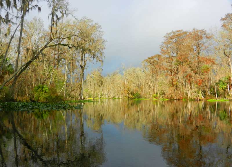Silver Springs State Park: manantial famoso, cabañas, caminatas e historia
