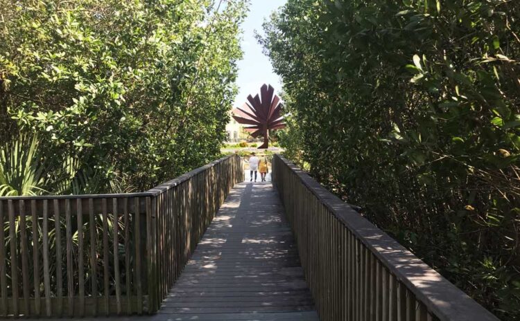 Jardín Botánico Peace River: una delicia en Punta Gorda