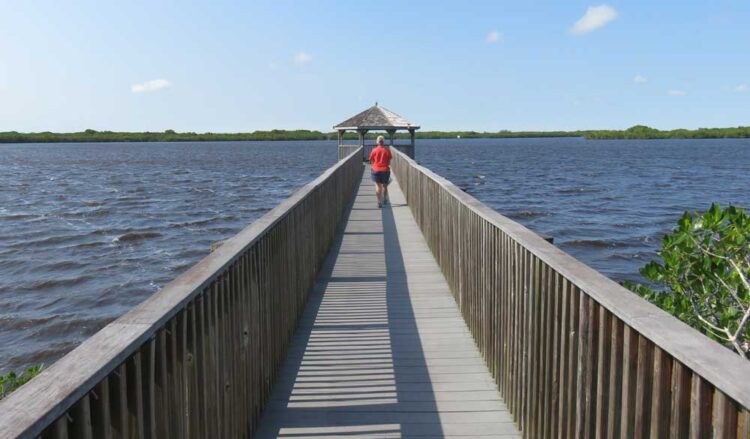 Jardín Botánico Peace River: una delicia en Punta Gorda