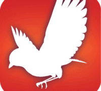 7 aplicaciones móviles para explorar Florida 7 aplicaciones móviles para explorar Florida