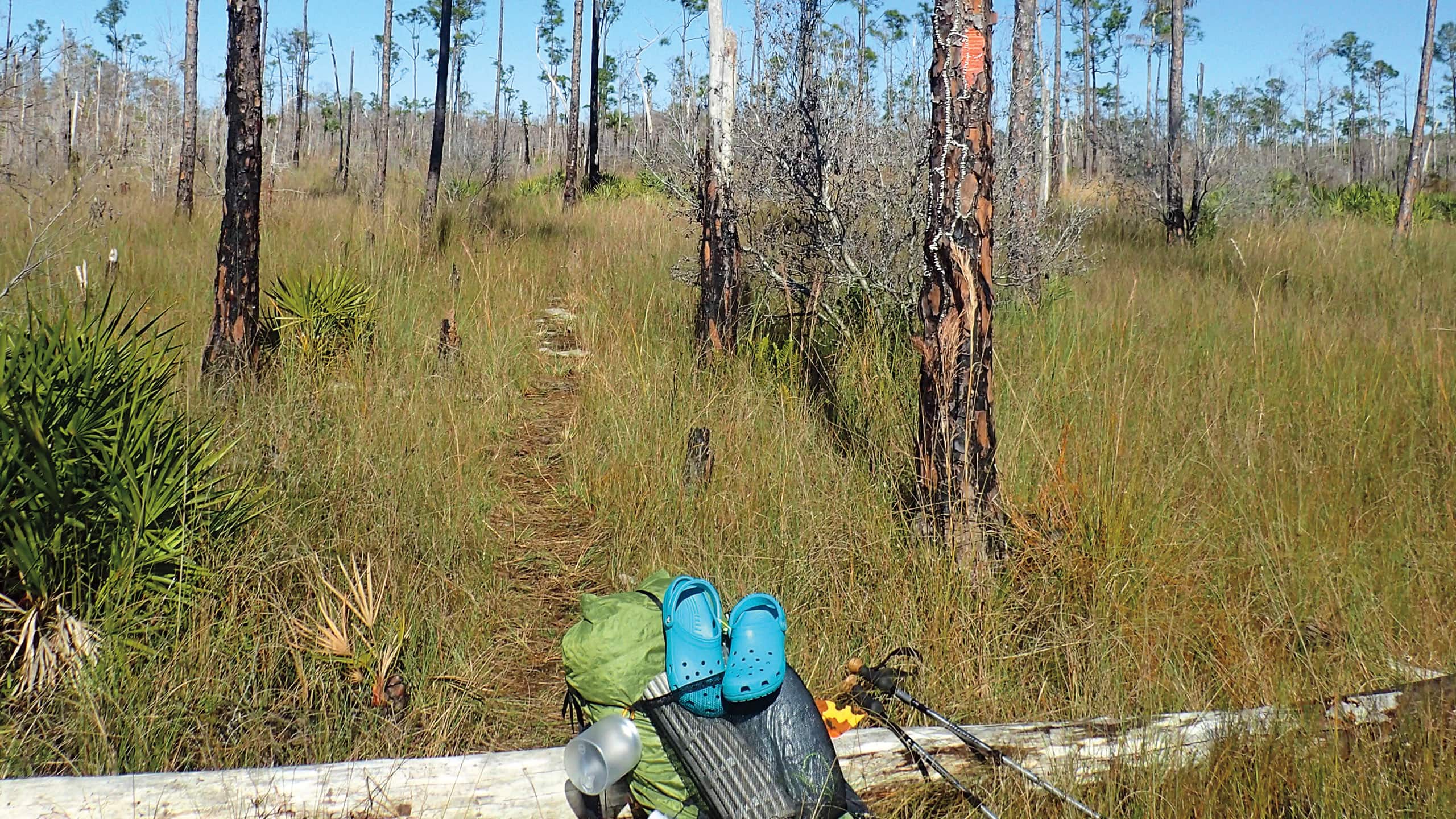 Sendero Florida, Ross Prairie hasta SW 49th Ave Sendero Florida, Ross Prairie hasta SW 49th Ave